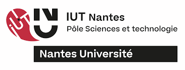 Logo_IUT nantes